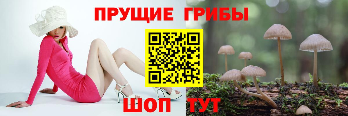 Галлюциногенные грибы Magic Shrooms Десногорск